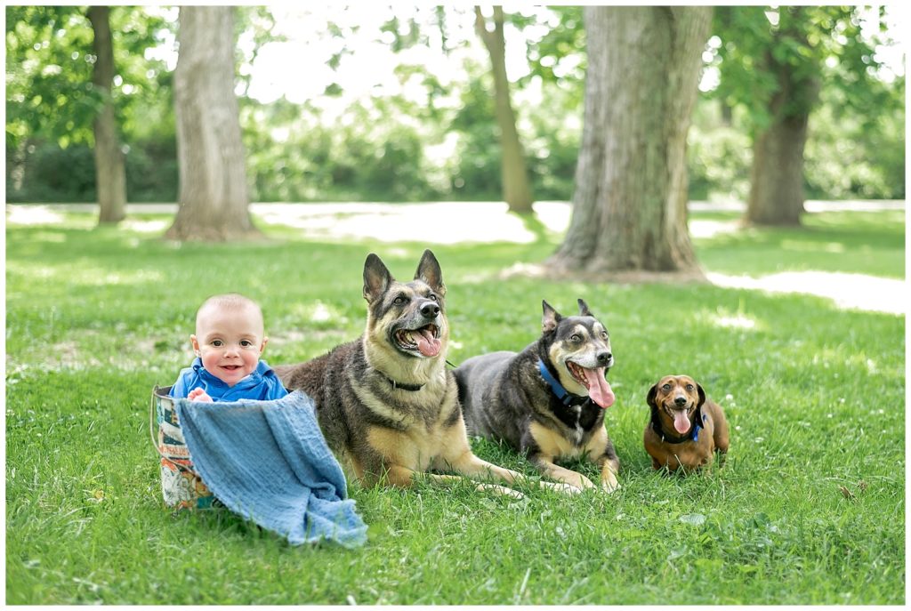 Family Session with three dogs and a baby