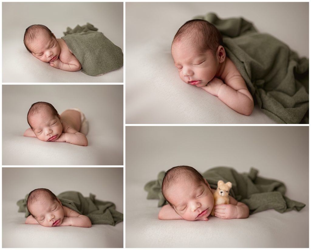 newborn baby boy photography on cream and green 