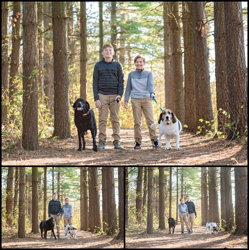 two brothers with their dogs at a family photography session