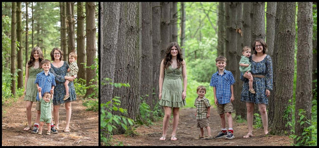family pictures in a tree line 